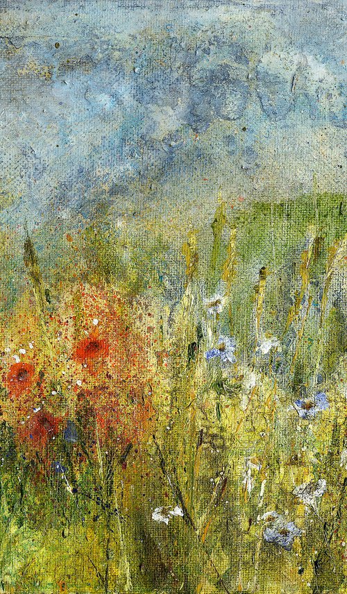 Poppy field by Suzsi Corio