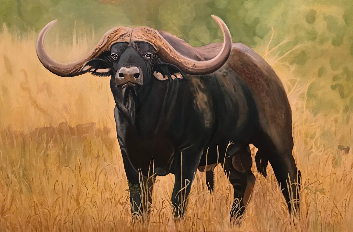 Original oil painting Buffalo - 120x80 cm (2019) by Evgeniya Roslik
