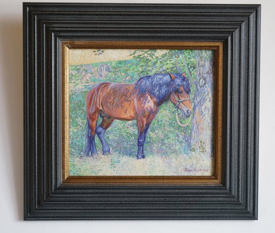 Horse in the shade of trees