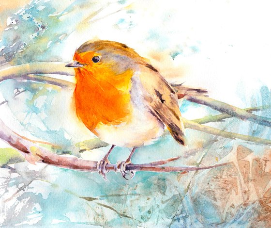 Robin Watercolour painting