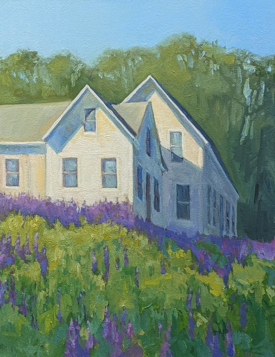 June Morning with Lupines