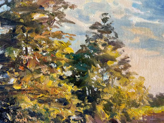 “The Gentle Embrace of Soft Light”