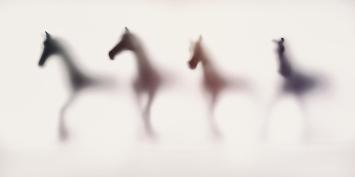 Abstract Animal Photograph By Sven Pfrommer, 55 X 28", Wild Lens - Horses Iv, Original Artwork
