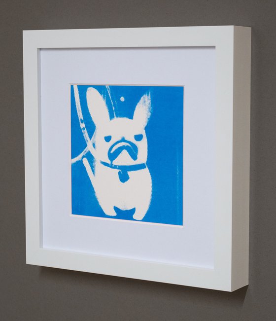 'Polar' French Bulldog (small framed artists proof)