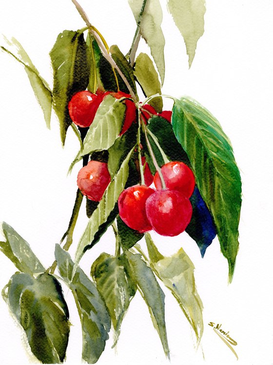 cherries on the tree