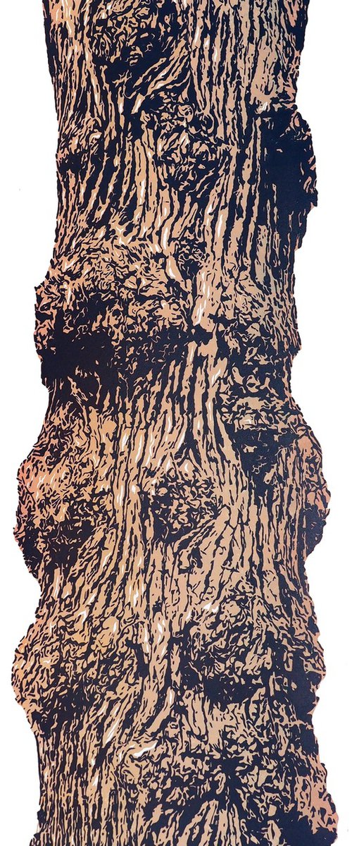 Burl Oak by Francis Stanton