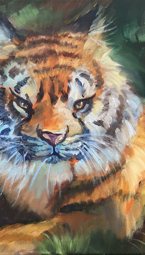 Tiger 2 by Elena Sokolova