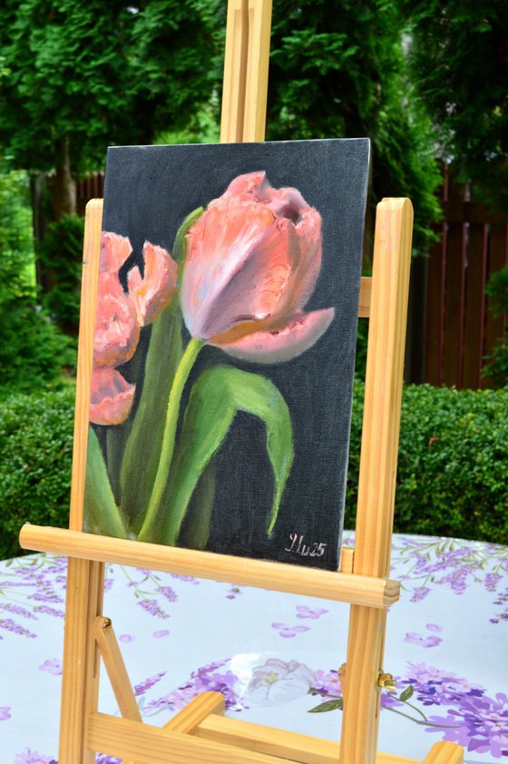 Coral tulips 4