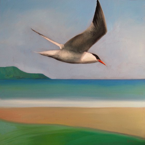 flyby of the tern