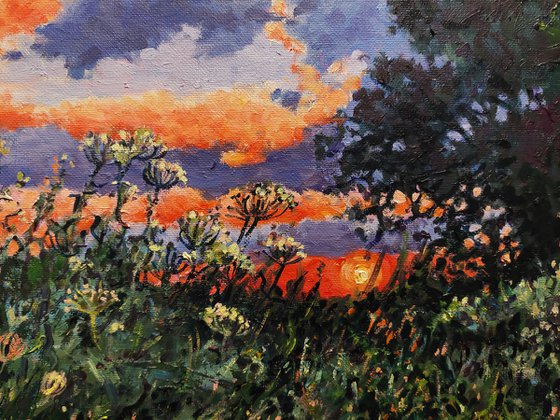 Evening Light - Sunset
