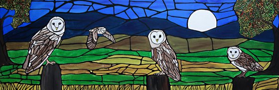 Barn owls