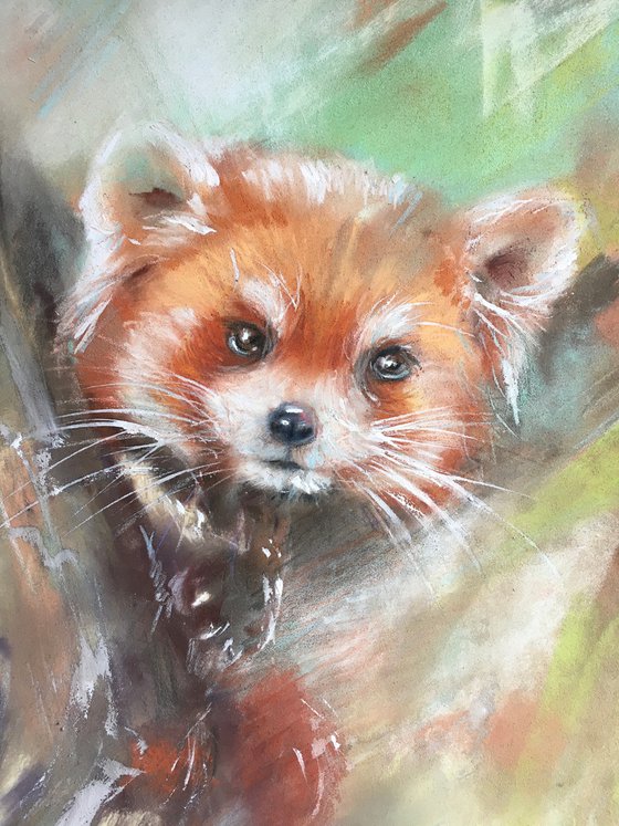 RED PANDA ON THE TREE
