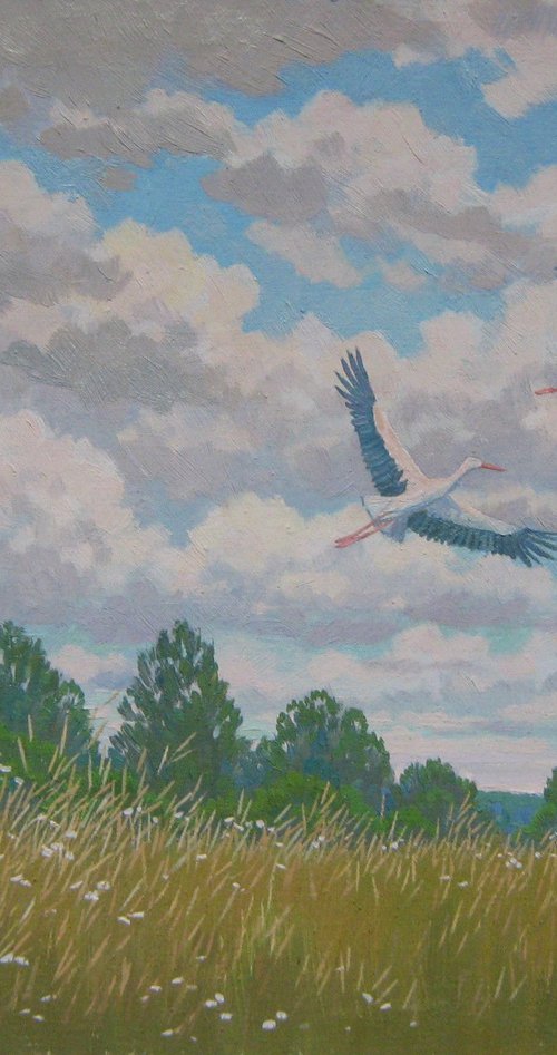 Storks by Valeriy Savenets-1