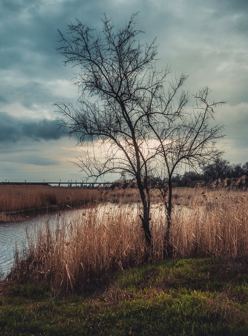 April evening by Vlad Durniev