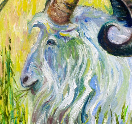 Blue Goat