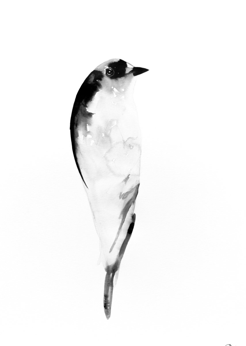 Bird by Nadia Moniatis
