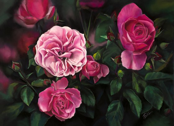 Pink Roses