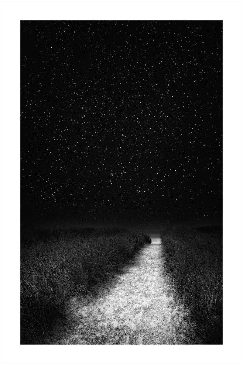 Beach Path at Night - 12 x 18 by Brooke T Ryan