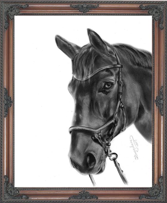 Oil painting ,,  Horse SPIRIT,,