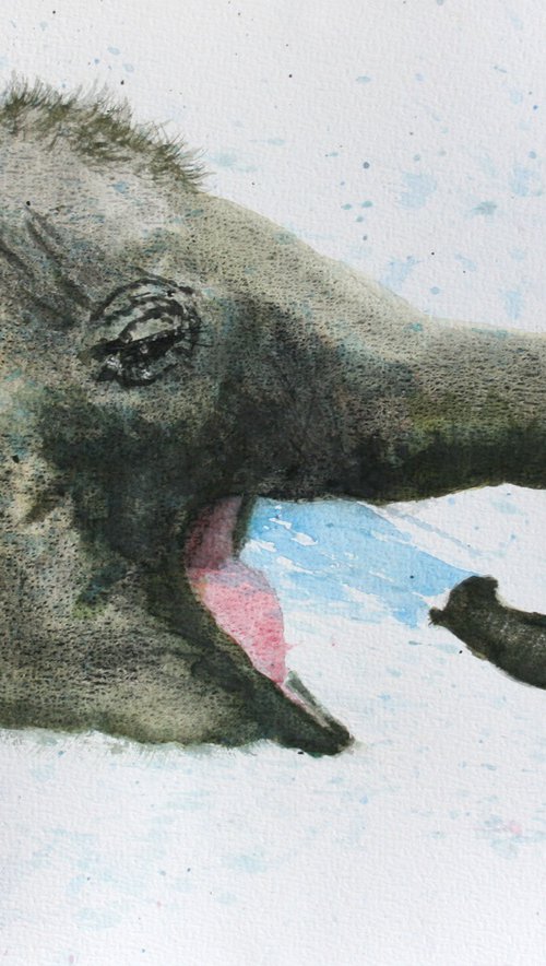 Baby Elephant V by Salana Art / Svetlana Samovarova