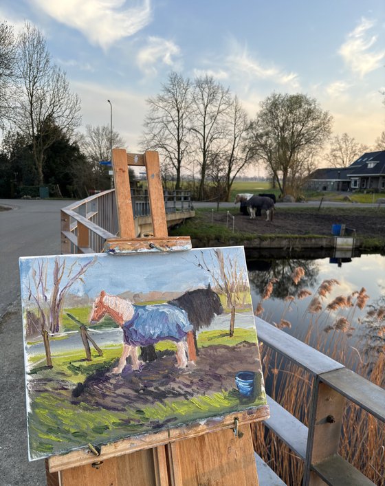 Grazing Horses in the Dutch Countryside