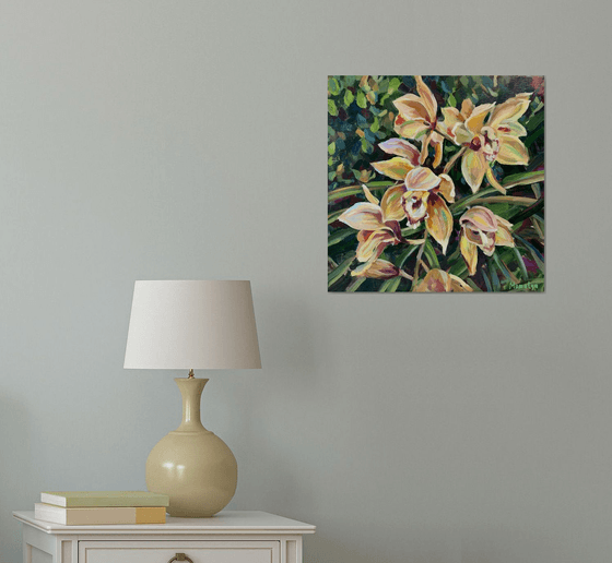 Tropical delicate orchids