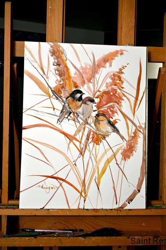 Sparrows in the Fall