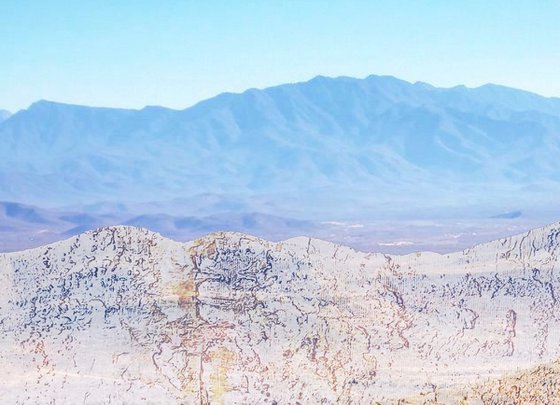 Sonora Desert