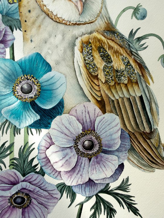 Barn Owl with Anemones