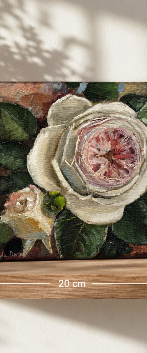 Pink roses still life by Leyla Demir