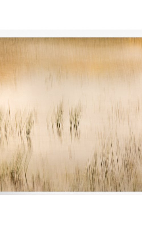 By Still Waters by Lynne Douglas