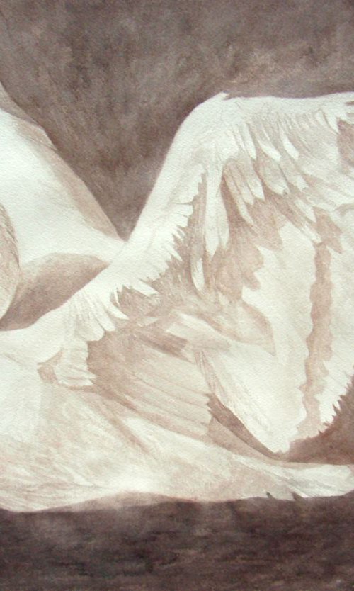 Swan II by Natalia Salinas Mariscal