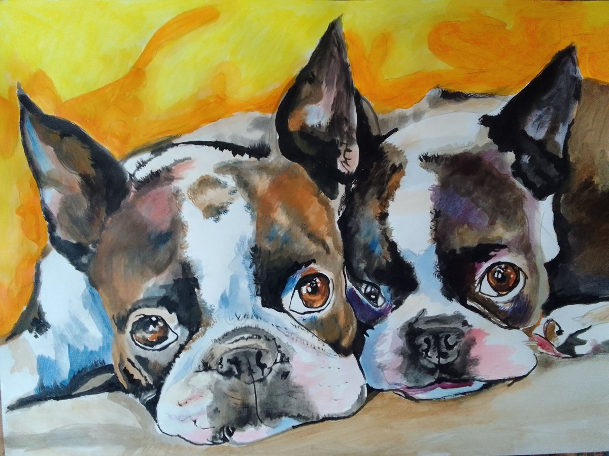 Photorealistic Animal Acrylic Painting By Soso Kumsiashvili, 33 X 24", Bosstonterriers, Original Artwork