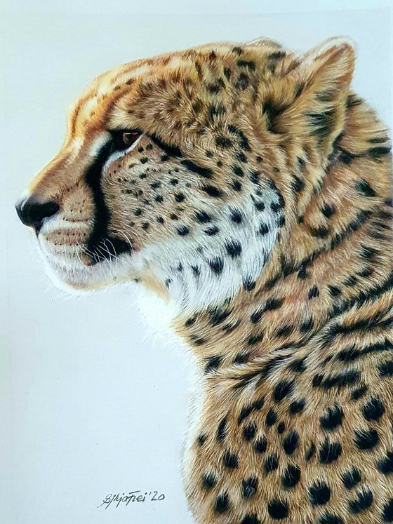 Sentinel of Serengeti - Cheetah portrait