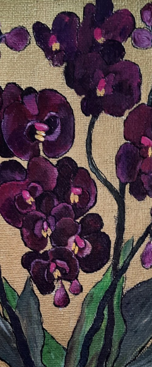 orchids by Svetlana Norel