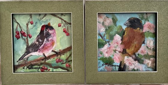 Birds