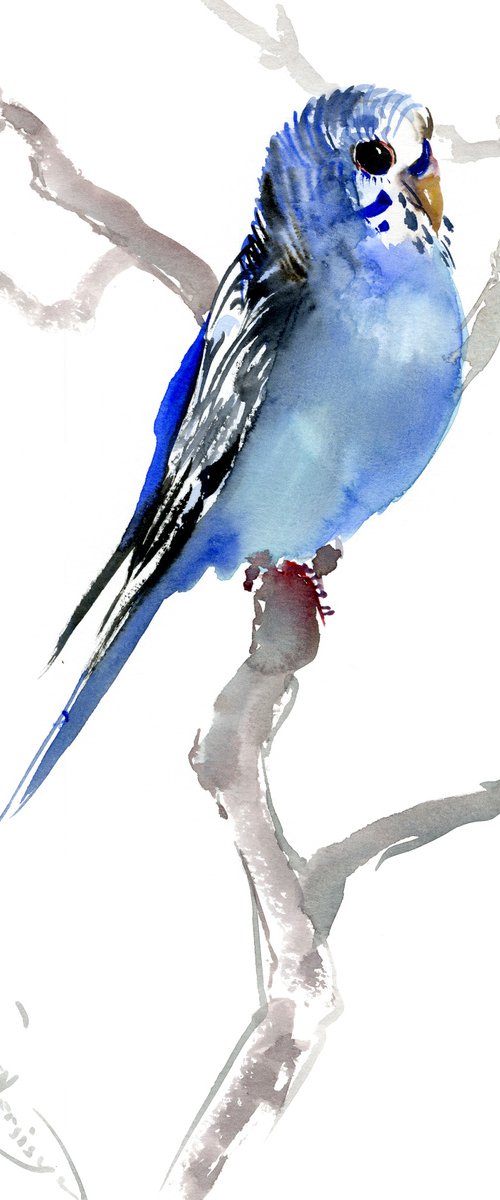 Budgie, parrot painting by Suren Nersisyan