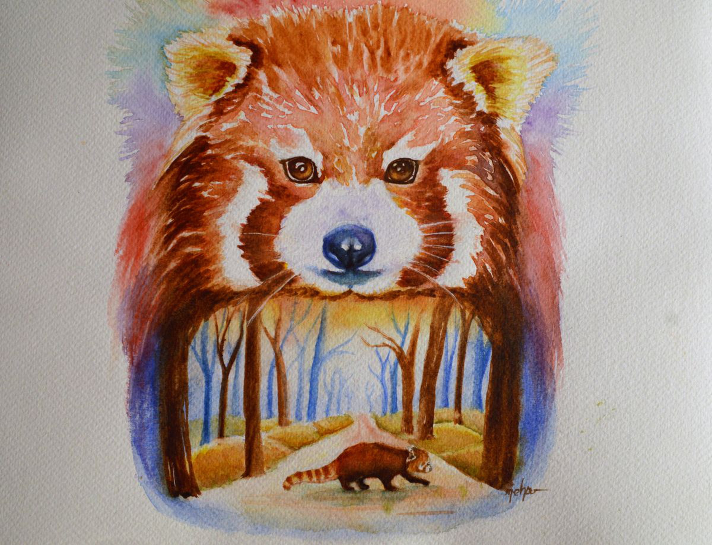 Red Panda 2017 Watercolour By Neha Soni Artfinder