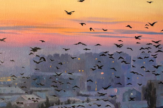 Flock at First Light