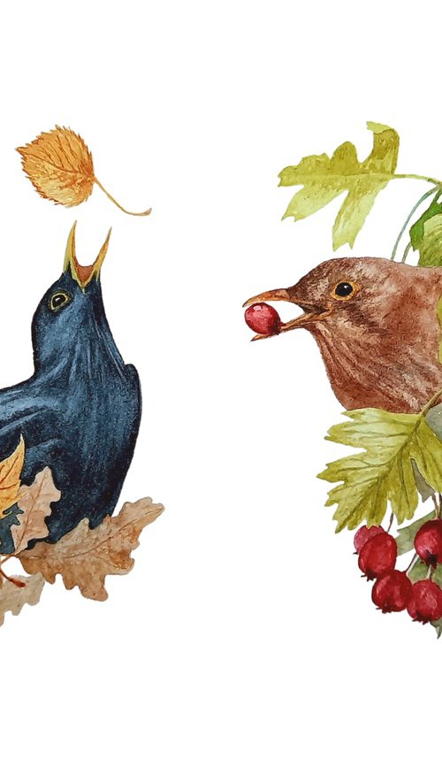 Tossleaf & Peckberry by Alison Fennell