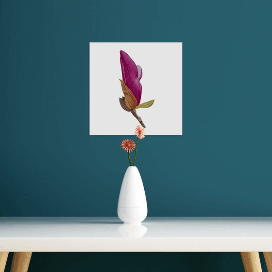 Magnolia bud