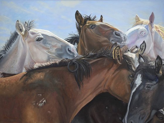 Horse Whispers - Wild American horses, equestrian oil painting