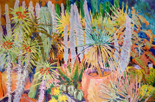 Cactuses and Succulents, Desert Nursery by Suren Nersisyan