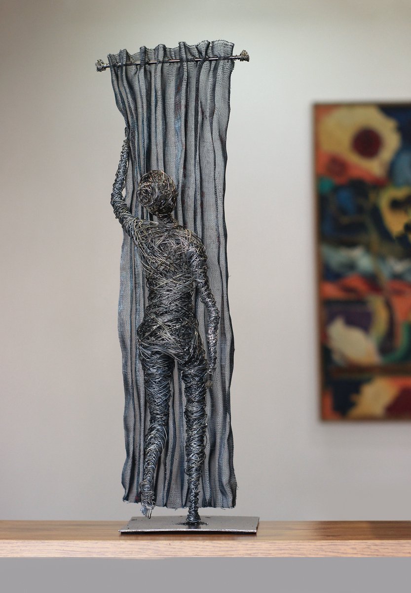 Beyond the curtain (52x14x24 1.2kg iron) by Karen Axikyan