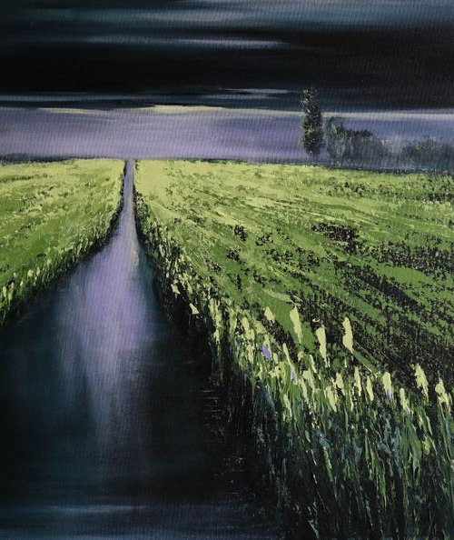 The light  and the storm - Fields and Colors Series by Danijela Dan