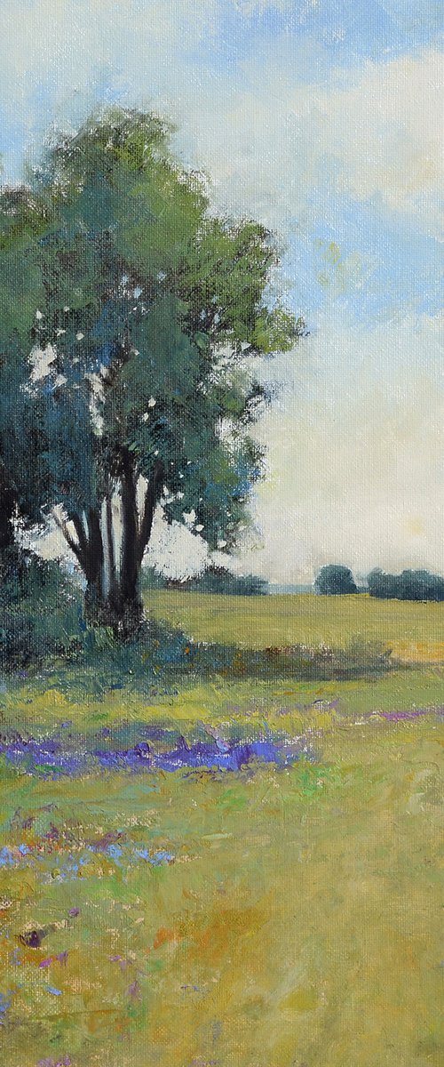 Spring Blue Sky  220321, flower field impressionist landscape oil painting by Don Bishop