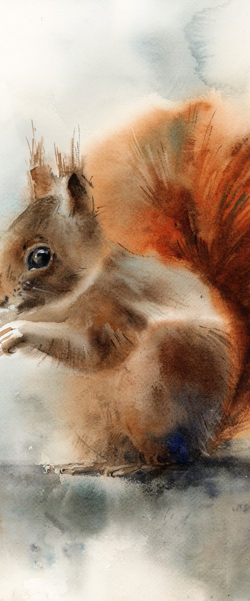 Squirrel by Sophie Rodionov