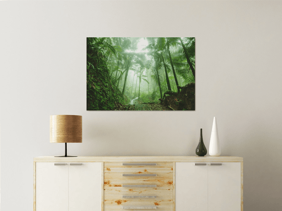 El Yunque Rain Forest