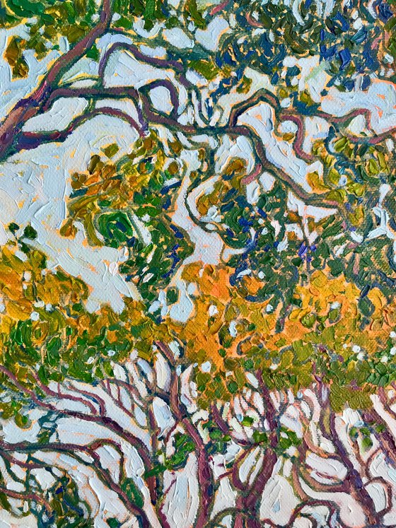 Beneath the Olive Canopy