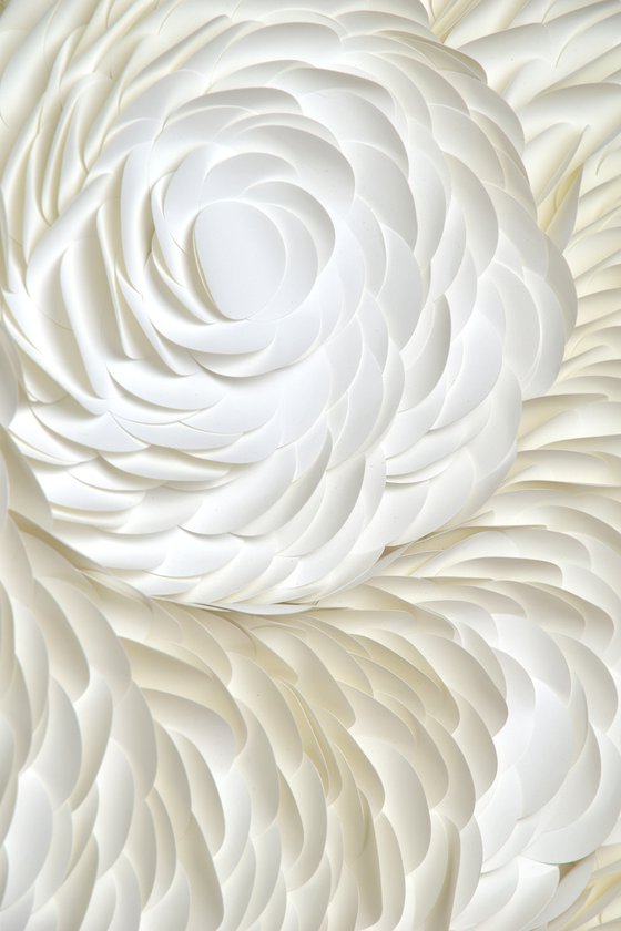 White Swan